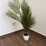 Marea Gold-blisko Morza Appartement *